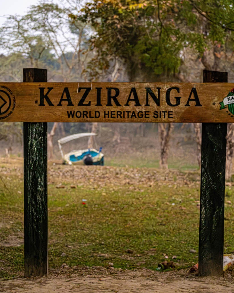 img-03-free-img kaziranga